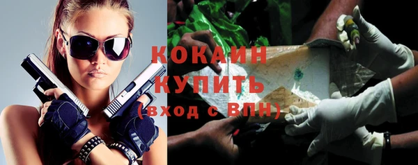 стафф Майский