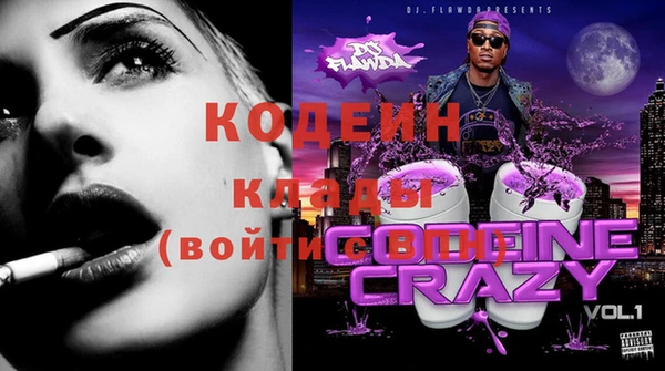 стафф Майский