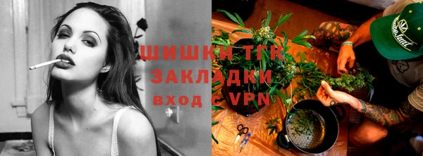 стафф Майский